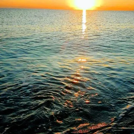Sweet * 圣卡泰里纳德洛约尼奥
